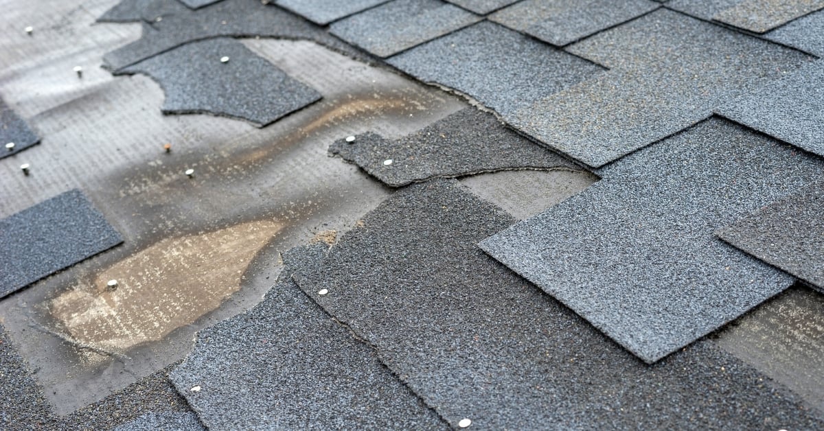 Hero - 2025-11-03T135452.774